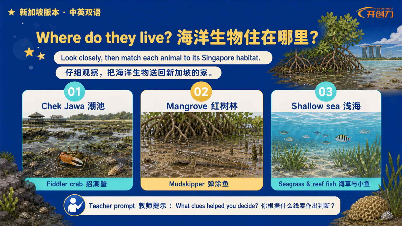 新加坡 · 先看课程结果，再判断产品能力。